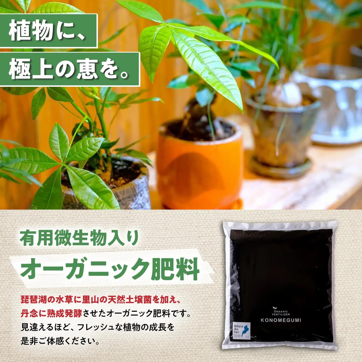 天然土壌菌入り肥料 湖の恵 屋内混合タイプ 2kg×2[AQBR003] 肥料