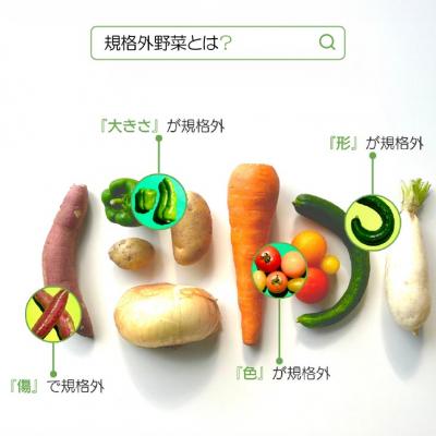ふるさと納税 南あわじ市 【シーサイドグロサリー】淡路島産規格外野菜ボックス・Mサイズ(2〜3人向け) |  | 02