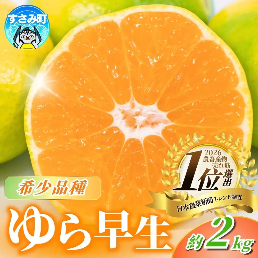 【10月~発送】みかん ゆら早生みかん 約2kg【nuk143E】
