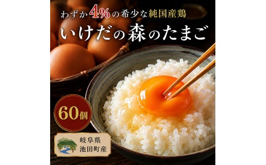 
【ふるさと納税】卵 わずか4%の希少な純国産鶏 いけだの森たまご 60個 こだわり おこめのたまご 玉子 鶏卵 生卵 産地直送 冷蔵配送 TKG 卵かけご飯 岐阜県産
