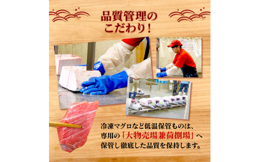 本マグロ 中とろ 800g マグロ トロ 鮪 海鮮 晩酌 冷凍 刺し身 まぐろ さしみ 柵 皮付き 海鮮丼 人気 小分け 中トロ 刺身 お刺身 国産マグロ 漬け ネギトロ 産地直送 赤身 冷凍 静岡 