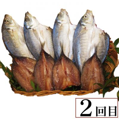 ふるさと納税 室戸市 【3回定期便】干物定期便　秋お届けコース(10、11、12月お届け) |  | 02