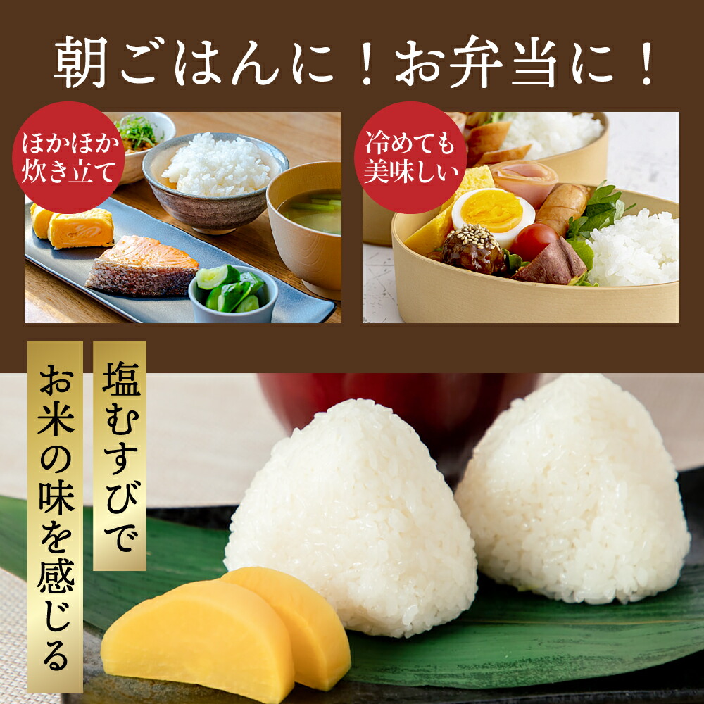新鮮精米 丹波産コシヒカリ 25kg こしひかり お米 白米 ごはん 米 こめ コメ 25キロ 大容量 業務用 まとめ買い 産地直送 お取り寄せ 兵庫県 丹波市