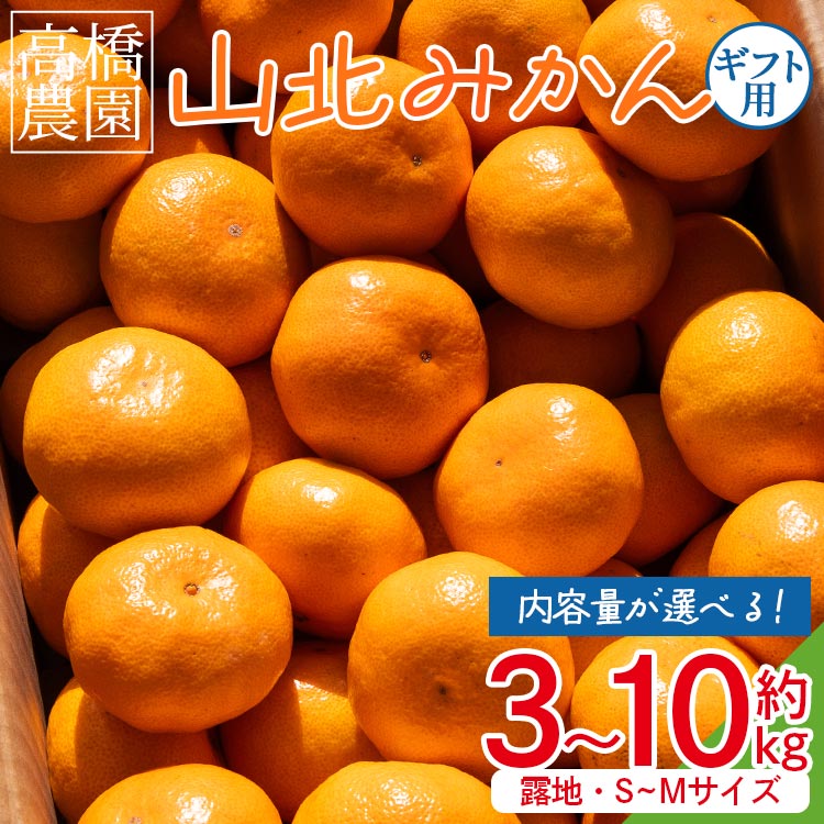 【ふるさと納税】【選べる内容量】山北みかん（露地・S〜Mサイズ）約3kg/約5kg/約10kg - 果物 フルーツ 柑橘 先行予約 おすそ分け ギフト のし 配送日指定不可 数量限定 期間限定 季節限定 送料無料 高橋農園 高知県 香南市【常温】Rth-0014