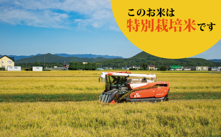 【令和８年産米】【定期便】特別栽培米ゆめぴりか(特秀) 5kg×3回 北海道当麻町 舟山農産 減農薬 低農薬【AB-014】