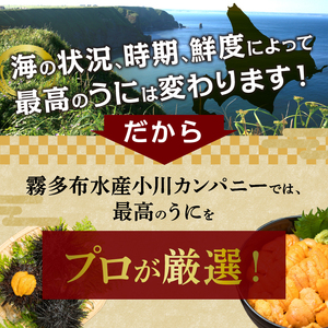 最高級折うに (極) 300g うに_H0014-111