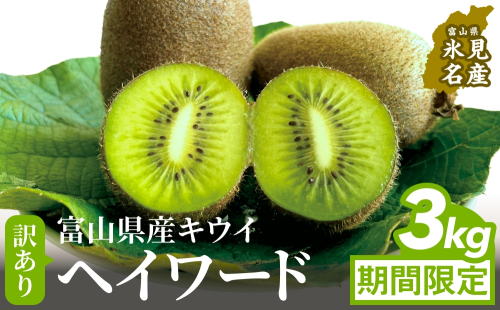 【先行予約】 訳ありヘイワード3kg（小玉、異形、擦り傷、日焼け）  【2025年12月中旬以降順次発送】 数量限定 希少 国産 甘い 氷見キウイランド 富山県 氷見市