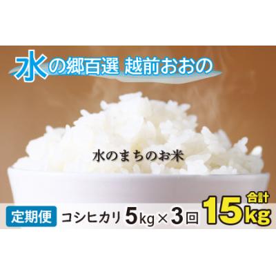 ふるさと納税 大野市 【令和7年産】【3ヶ月定期便】こしひかり 5kg×3回 計15kg【白米】「エコファーマー米」