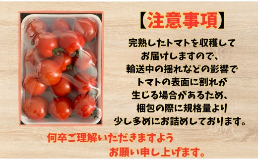 収穫当日発送！完熟フルーツトマト（フルティカ）1kg