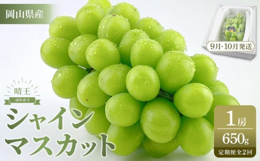 【定期便 全2回／2026年9・10月発送】 岡山県産シャインマスカット 晴王 1房 約650g  2回定期便　９月・１０月に１回づつお届け　種無し 皮ごと食べる 旬の美味しさ　フレッシュ 　ハレノフルーツ | フルーツ 果物 くだもの ぶどう ブドウ シャインマスカット 晴王  種なし 皮ごと フレッシュ 国産 岡山県産 食品 人気 おすすめ 送料無料 定期便 ギフト 贈り物 贈答品 プレゼント ブドウ シャインマスカット 晴王