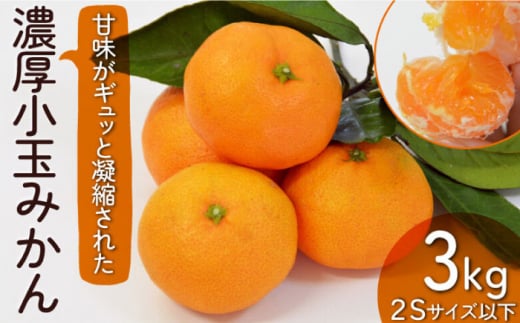 【2026年10月下旬～発送】【甘味が凝縮！】 濃厚 小玉みかん 3kg 温州みかん 2Sサイズ以下 / みかん 小玉 フルーツ 果物 くだもの 柑橘 蜜柑 ミカン / 南島原市 / 長崎県農産品流通合同会社 [SCB057]