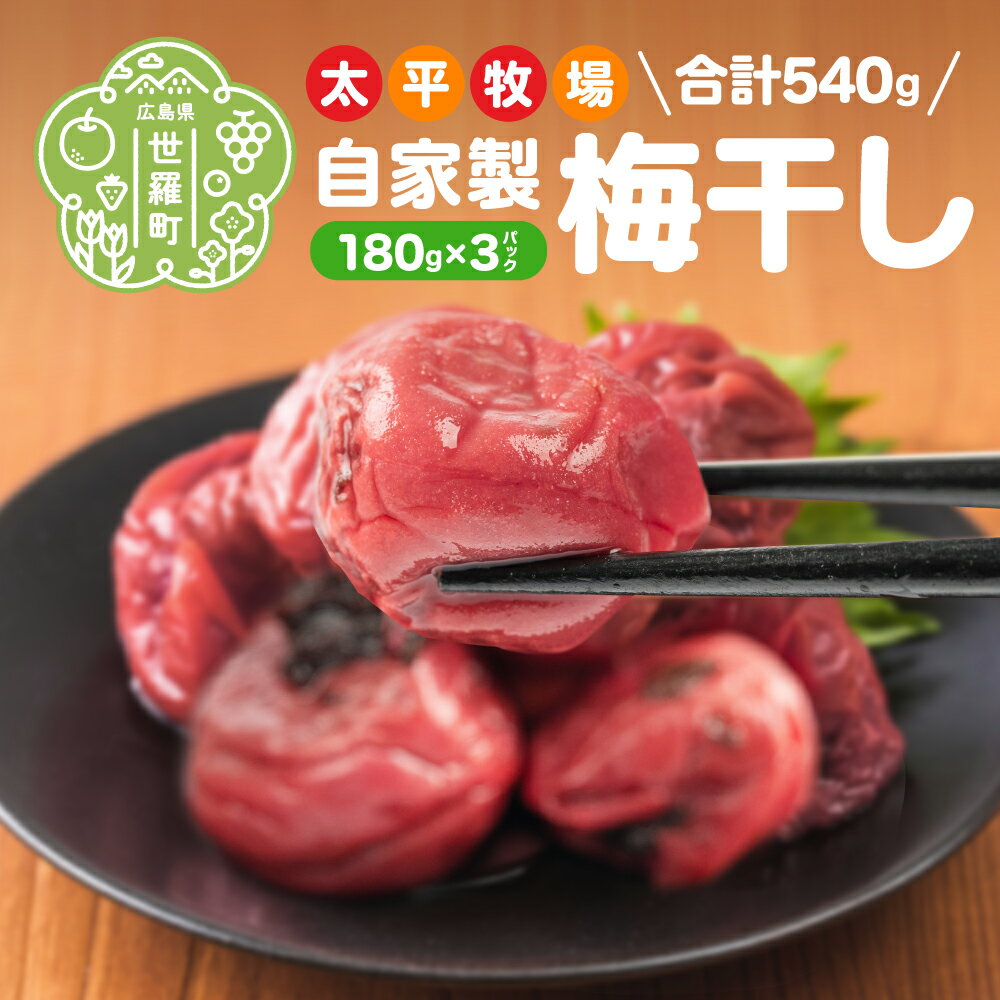 【ふるさと納税】自家製 梅干し 3パック 合計540g (180g×3) 世羅産 大粒 昔ながら すっぱい すっぱい梅 梅 梅干 ウメ しそ梅 うめ漬 赤しそ うめぼし おにぎり お弁当 A035‐15