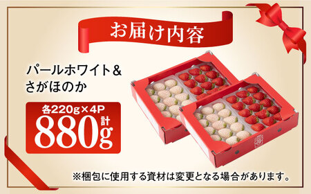 【先行予約】いちご食べ比べ！「さがほのか」と「パールホワイト」220g×各2パック 計4パック / いちご イチゴ 白イチゴ 希少いちご 佐賀 九州 [IAQ017]