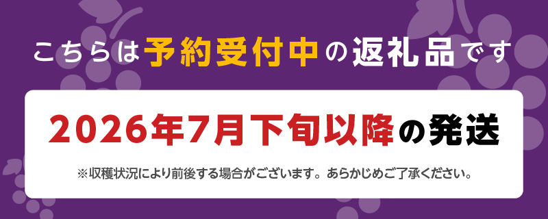【7月下旬より順次発送】池尻農園　ハウス巨峰　約1kg_巨峰 約 1kg ぶどう 3房 久留米市産 渋み エグミ 無い フルーツ 果物 期間限定 池尻農園 ハウス巨峰 福岡県 久留米市 お取り寄せ お