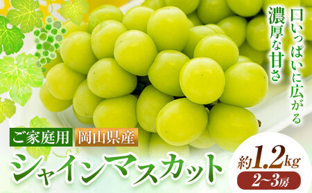 【2025年先行予約】ご家庭用 岡山県産 シャインマスカット 約1.2kg ( 2～3房) クール便 晴れの国 おかやま館 (つむぐ株式会社) 《2025年9月上旬-11月中旬頃出荷》岡山県 浅口市 マスカット ぶどう 葡萄 果物 フルーツ 送料無料【配送不可地域あり】（北海道・沖縄・離島）