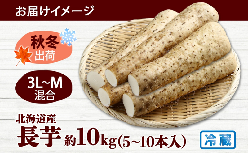 北海道産 長いも 秋冬出荷 約10kg 2025年11月中旬～2026年3月下旬お届け 長芋 ながいも とろろ 農作物 野菜 新鮮 根菜 新物 山かけ 産地直送 お取り寄せ 送料無料 冷蔵 北海道 洞