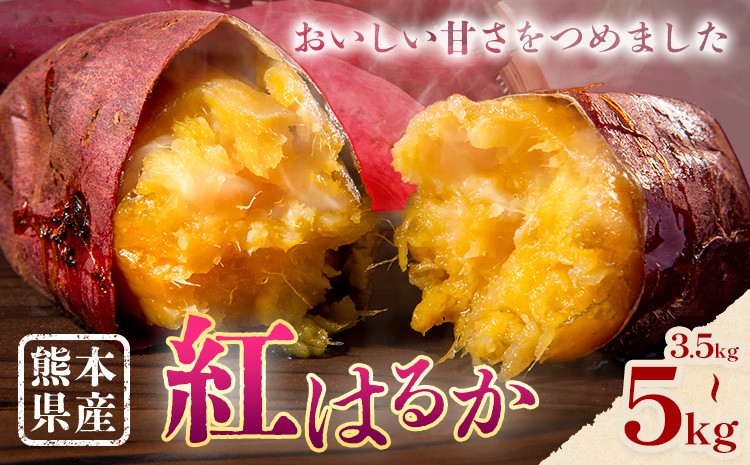 
                  さつまいも 熊本県産 紅はるか 選べる 3.5kg 5kg 日本フルーツ株式会社《11月中旬-6月上旬頃出荷》熊本県 菊池市 さつまいも 薩摩芋 からいも 紅はるか デザート 料理 おやつ 蜜芋 野菜 芋 いも
                