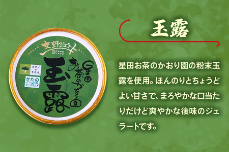 交野ジェラート フレーバーおまかせ10個セット [0179]