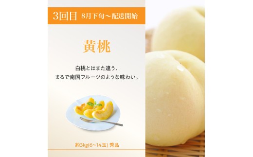 ≪先行受付≫ 桃と梨好きの満足定期便【定期便全3回】