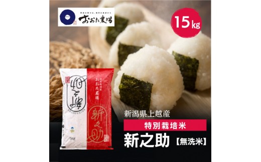 令和8年産 新潟県上越産 特別栽培米 新之助 15kg 15キロ（5kg×3） 【無洗米】 しんのすけ 新米 おおた農場 上越市