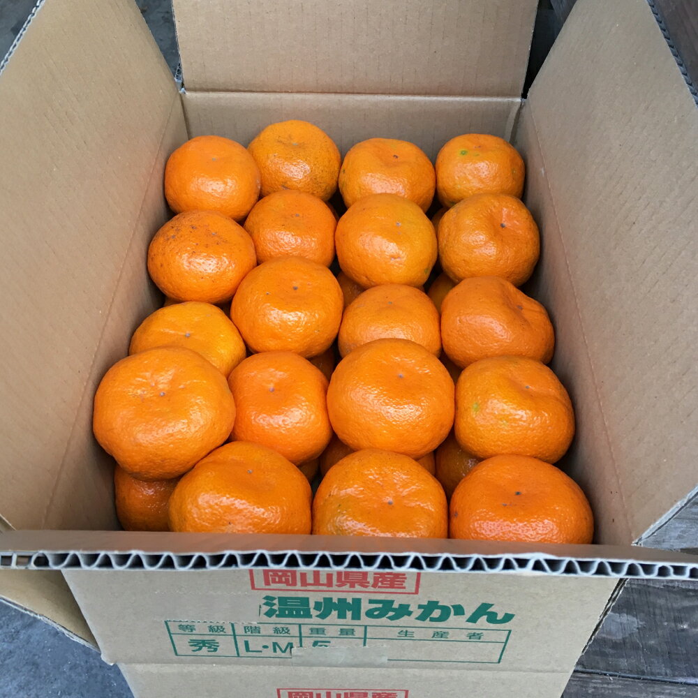 【ふるさと納税】早期受付 倉敷みかん 約5kg/約10kg 選べる内容量 倉敷ひらまつ農園 果物類 柑橘類 ミカン 蜜柑 フルーツ デザート 食後 おやつ 間食 冬 こたつ 岡山県産 【2025年11月上旬～2026年1月下旬 発送予定】