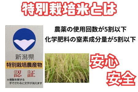 【令和8年産・新米予約】安心安全の新潟県南魚沼産特別栽培米コシヒカリ　2kg　新潟県認証【2026年10月上旬より1ヶ月以内に順次発送予定】