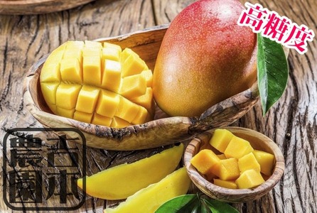 ◆先行予約◆和歌山県産　紀州完熟マンゴー『吉玉』2玉入り【2025年8月中旬から9月下旬頃順次発送予定】【MG19】【mtgn054】