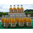 【ふるさと納税】有田みかんの味皇180ml×12本【北海道、沖縄、離島への配送不可】 | 和歌山県 印南町 和歌山 返礼品 支援 楽天ふるさと 納税 有田みかん 飲み物 みかんジュース ミカンジュース 蜜柑ジュース ジュース ソフトドリンク ドリンク 飲料 フルーツジュース