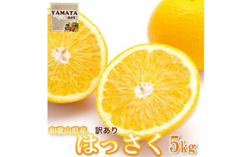 
                  ［訳あり］ 和歌山産 八朔 5kg ［ご自宅用・サイズ不揃い・キズ等あり］
                