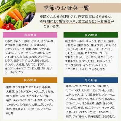 ふるさと納税 多良木町 【毎月定期便】野菜ソムリエ監修 旬のおすすめ野菜セット 4〜6品(1〜2名様向け)全12回 |  | 03
