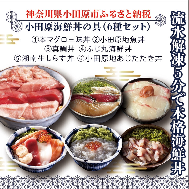 【高級食材本マグロ、曽我の梅干し、小田原地あじ、小田原港直送地魚丼、大磯港直送、湘南生しらす】小田原海鮮丼の具（6種セット）【本まぐろ丼 小田原地魚丼 小田原地あじたたき丼 国産活〆真鯛入り酒仕込み 神奈川県 小田原市 】 142069_DX003