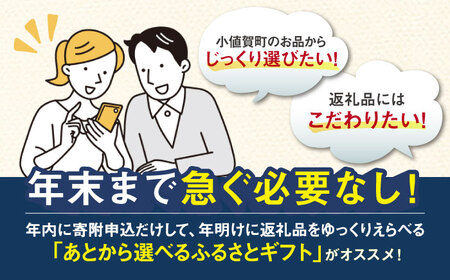 【あとから選べる】小値賀町 ふるさとギフト 30万円分 / あとから選べる あとから寄附 あとからギフト 後から選べる 後から あとからセレクト 駆け込み 先に寄附 30万円 300000円 長崎県 