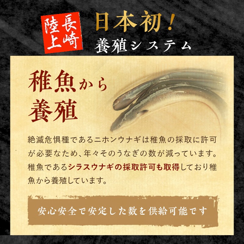 数量限定！海水かけ流しうなぎ蒲焼2尾( 数量限定 うなぎ蒲焼 海水かけ流しうなぎ 逸品 ご飯が進む )【B5-102】