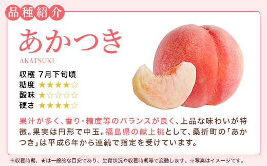もも【あかつき・2027年産先行予約】特秀約3kg「献上桃の郷ブランド品」桑折町産　JAふくしま未来　桃 ／ もも モモ 果物 フルーツ 旬 甘い 甘み ジューシー 果肉 果汁 新鮮 フレッシュ デザ