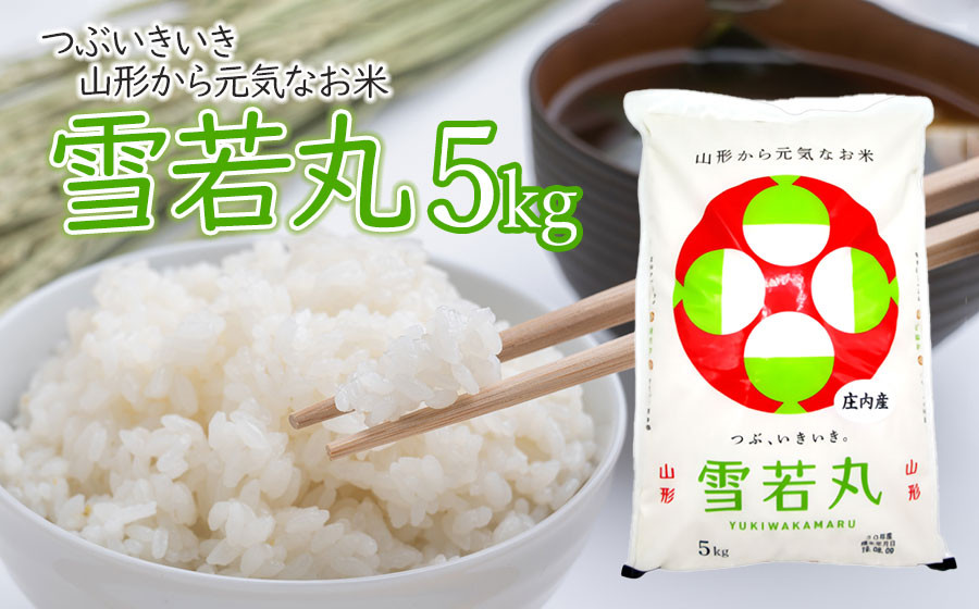 
            雪若丸 精米 5kg×1袋　庄内観光物産館
          