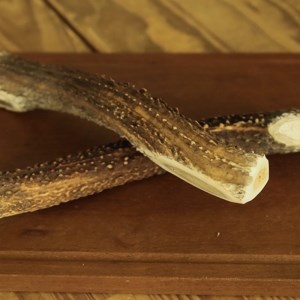 鹿の角（Ｌサイズ×2本）京都丹後産 ペット犬用おやつ ドッグガム