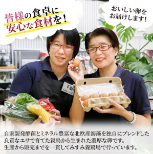 野菜 卵 【旬のお野菜＋産みたて濃厚卵6個の大満足セット】道の駅松浦海のふるさと館【A8-039】