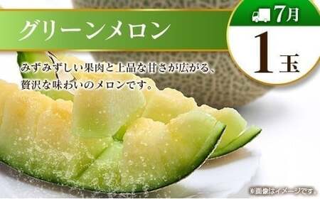 【10回定期便】旬 人気 フルーツ 南国宮崎産 マンゴー 金柑たまたま シャインマスカット ピオーネ いちご みかん 日向夏 メロン 柑橘 きんかん ぶどう 果物 詰め合わせ 宮崎県 九州＜E-3コー