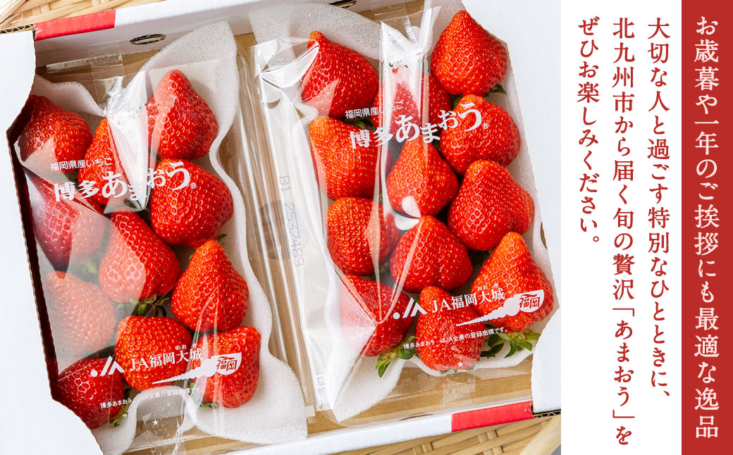 福岡県産特産品 うまもぐ厳選果物 福岡県産 博多あまおう DX上級品 約500g（約250g×2パック入り）【2025年12月発送】あまおう いちご 苺 イチゴ 果物 フルーツ