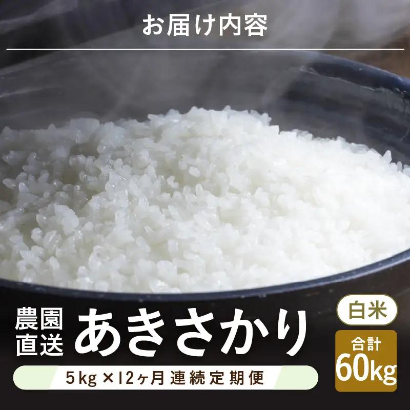 先行予約 令和8年産 新米 (白米) 定期便 12ヶ月連続お届け あきさかり 5kg × 12回 計60kg ブランド米 米 2026年10月上旬以降順次発送 [K-8911_01]