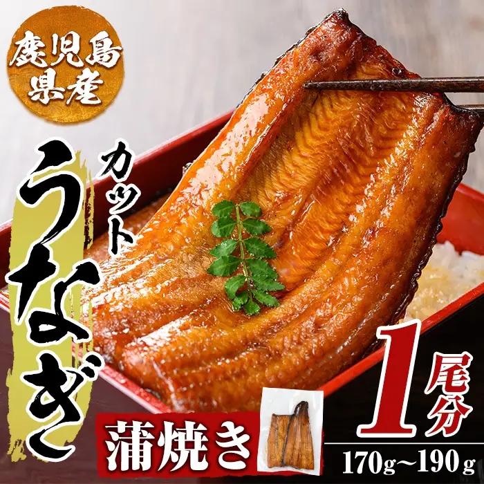 a982-A うなぎ蒲焼き・1尾分(170g～190g)【うえの屋】姶良市 うなぎ 鰻 ウナギ 蒲焼き 蒲焼 かばやき カット タレ 鹿児島 国産 冷凍