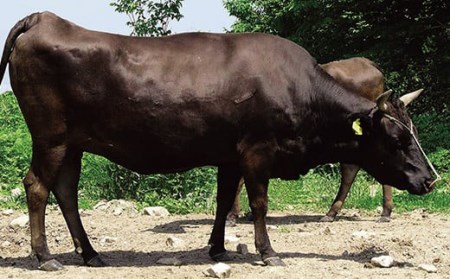 FYN9-793 山形県産 山形牛 A4等級以上 モモ・肩 焼肉セット 400g 黒毛和牛 肉 国産 ブランド牛 贅沢