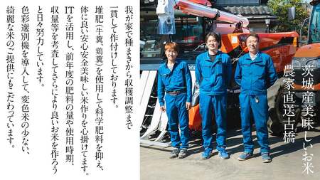 令和7年産 新米 いのちの壱 5kg 玄米 単一原料米 茨城県産