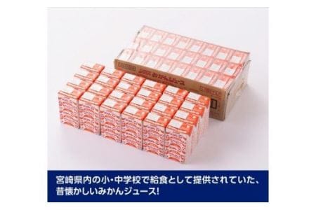 サンAみかんジュース100%　125ml紙パック×24本×2ケース 【 ふるさと納税 飲料 ジュース みかん ミカン 温州みかん 紙パック 川南町 国内産 九州 宮崎県 送料無料 】