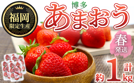 ＜先行予約受付中！2026年2月上旬～2026年4月下旬に順次発送予定＞ 博多あまおう・春 (計約1kg) いちご 苺 フルーツ 果物 くだもの 福岡限定 家庭用 冷蔵＜離島配送不可＞【ksg1740】【農産物直売所ほたるの里】 