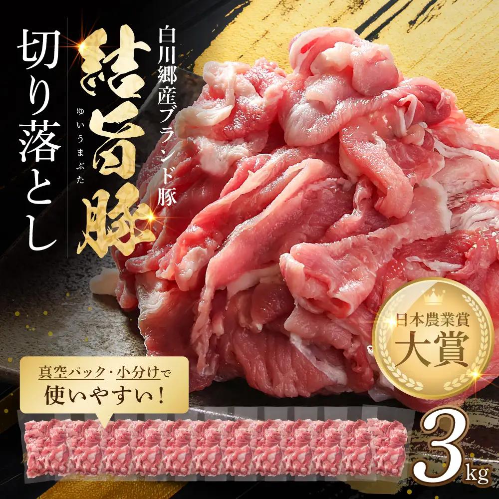 結旨豚 ウデ又はモモ 切り落とし 250g×12p（計3kg） トレーなし 簡易包装  ｜ 肉 お肉 豚肉 国産 切り落とし 切落し 薄切り 訳あり 白川郷 岐阜県 白川村 ブランド豚 人気 おすすめ ギフト 飛騨高山ミート
