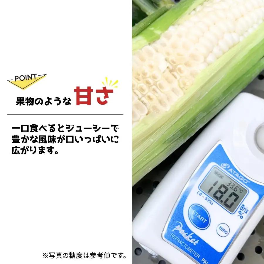 ＜先行予約＞ 東松山ハニーホワイト 5本 特大サイズ(3L) 