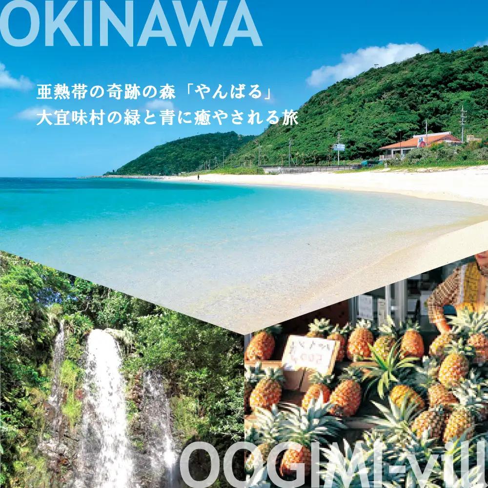 【旅行クーポン】沖縄大宜味村 後から選べる旅行6万円分 