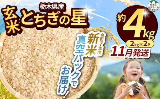 【先行予約】【令和7年度新米】【毎月500個限定！】 【栃木県共通返礼品】栃木県産とちぎの星 2kg×2（玄米真空パック）11月分 | 新米 とちぎの星 玄米 米 ごはん  冷めてもおいしい ふるさと納税 那珂川町 栃木県