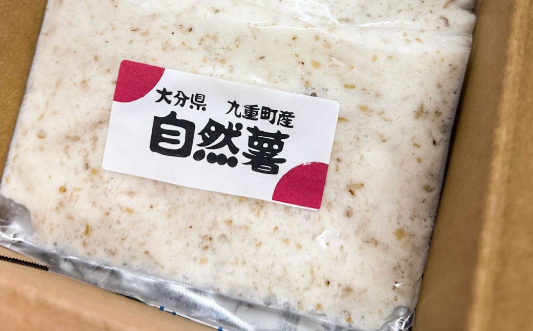 九重町産 自然薯 お試しセット 約500g【すりおろし】